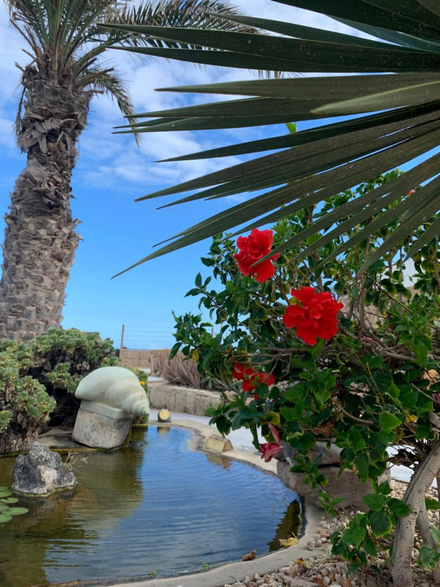 Little Paradise In El Medano 2 Granadilla De Abona Exterior foto